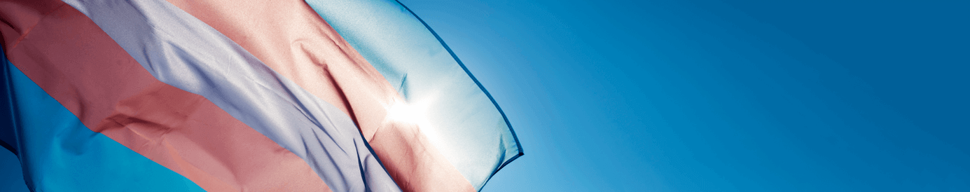 A light pink, blue and white striped transgender flag waves in the blue sky with the sun shining directly behind it.