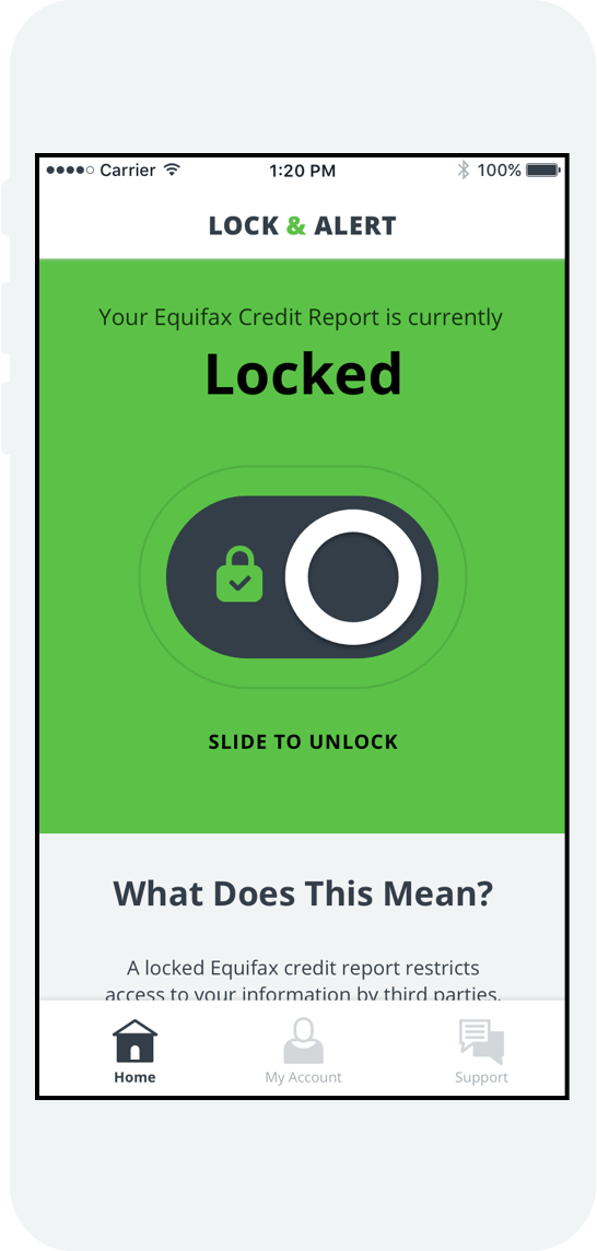 Equifax Lock & Alert Mobile App Wireframe